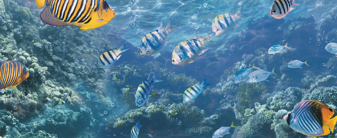 Обои SH&D Natural 88424-2